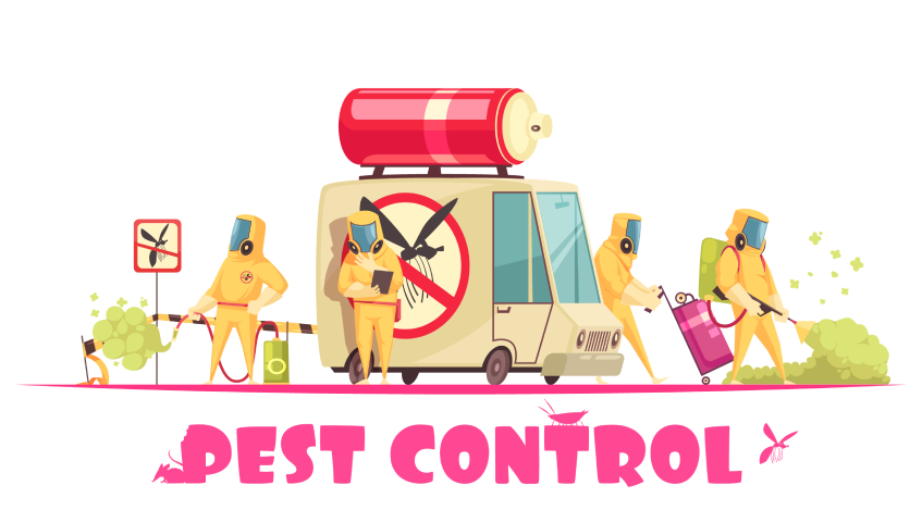 What To Know Before Hiring A Pest Control Company