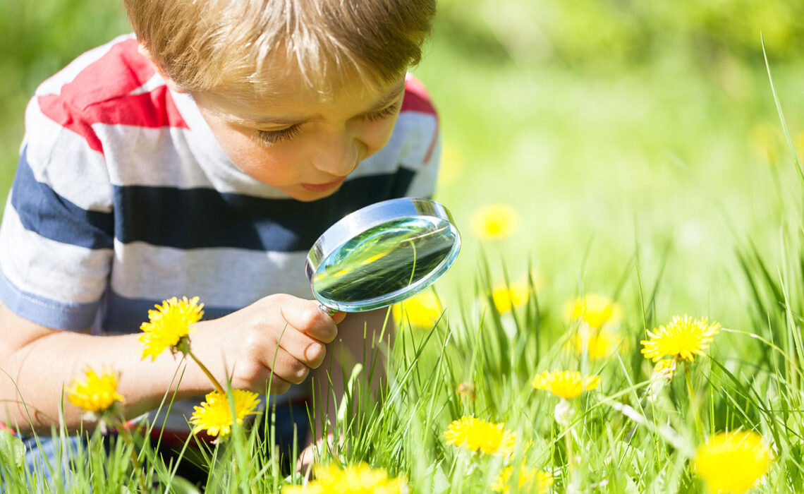 Outdoor Play