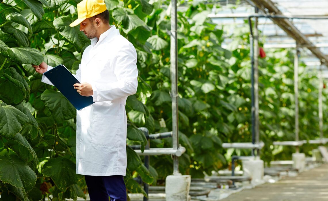 Essential Reasons to Pursue MBA in Food and Agribusiness Management