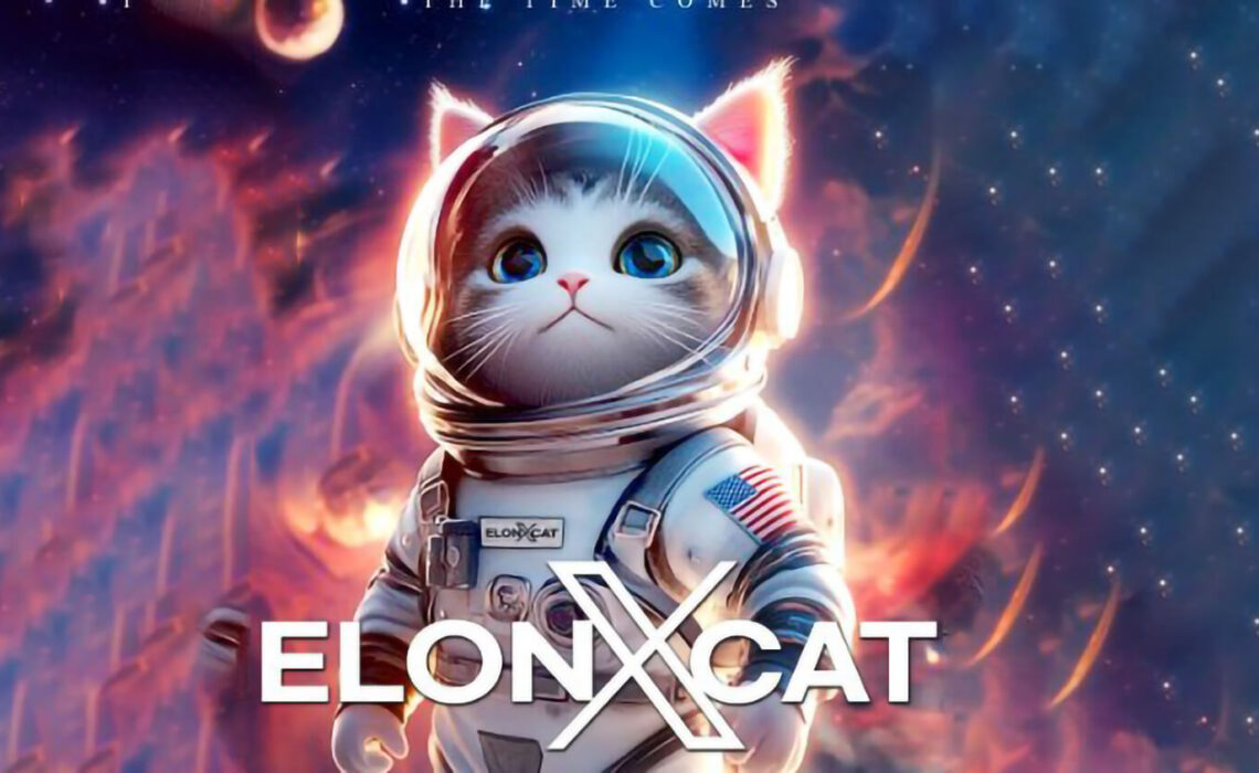 elonxcat